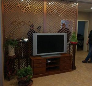 家庭装修不锈钢电视墙案例展示
